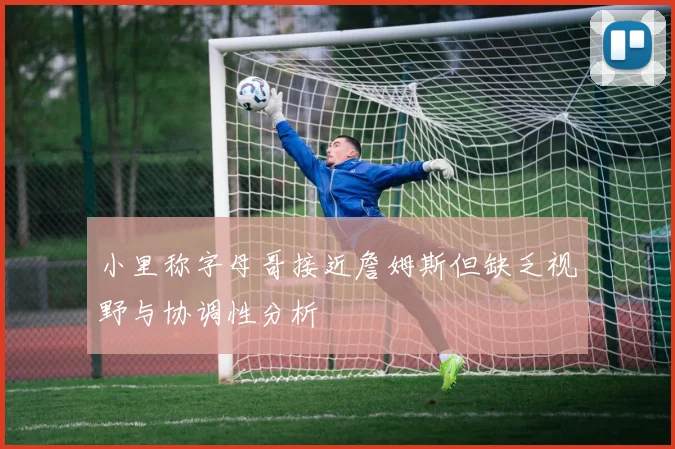 小里称字母哥接近詹姆斯但缺乏视野与协调性分析