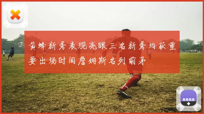 黄蜂新秀表现亮眼三名新秀均获重要出场时间詹姆斯名列前茅